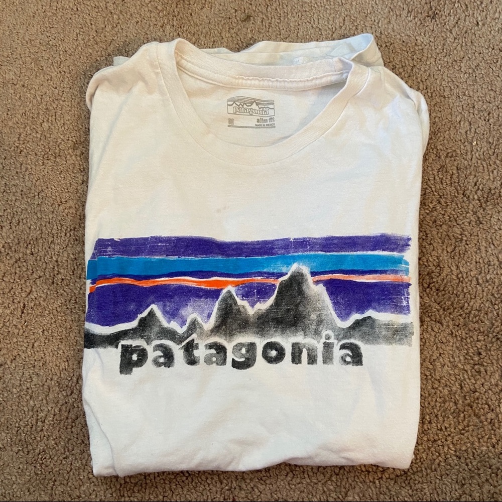 Slim fit Patagonia tee shirt